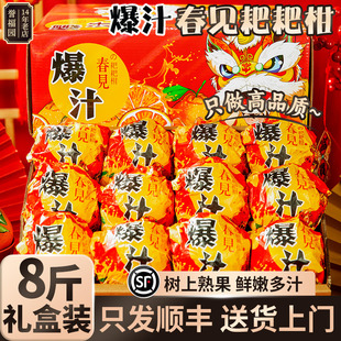 春见耙耙柑粑粑杷杷柑新鲜水果礼盒整箱过年货走亲戚新春节送礼品