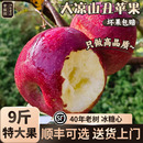 旗舰9斤 包邮 正宗大凉山丑苹果新鲜水果当季 整箱昭通冰糖心孕妇