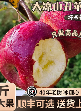 正宗大凉山丑苹果新鲜水果当季整箱昭通冰糖心孕妇包邮旗舰9斤