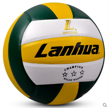 Ballon de volley - Ref 2008088 Image 1