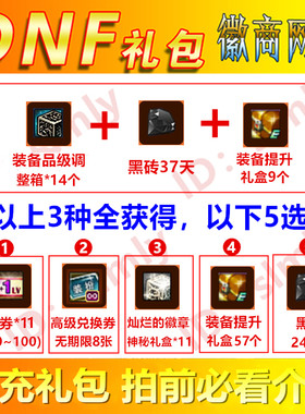 DNF礼包升级券11张+黑砖37天+装备提升礼盒+增幅器高级装扮兑换券