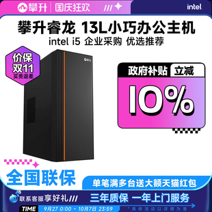12490F 攀升商用i5 政府補貼10% 電腦整機 14490F專業辦公電腦主機臺式 家用辦公游戲設計DIY組裝 13400F