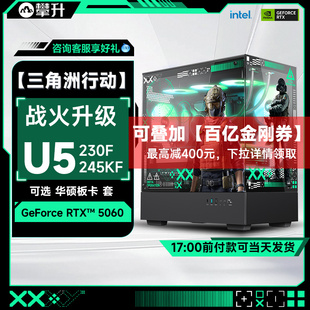 14600K 14790F 攀升台式 5060Ti三角洲游戏办公电脑主机台式 14490F 华硕5060主机 电脑整机全套 电脑主机i5