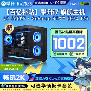 电脑主机u7 265KF 整机 5070三角洲吃鸡游戏直播主机台式 攀升台式 电脑diy组装 百亿补贴 华硕RTX5060