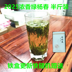 2025年绿杨春茶叶扬州特产250g仪征捺山绿茶绿阳扬春