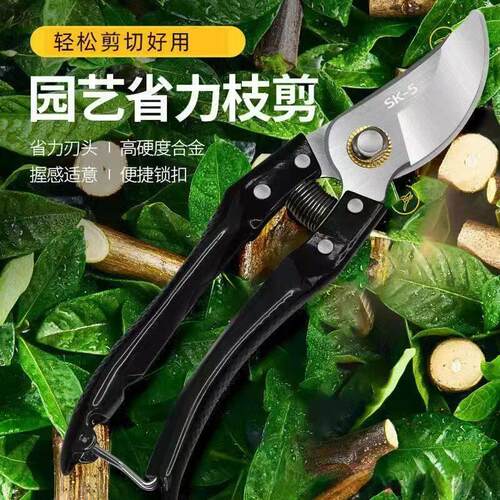 枝剪剪树剪子果树剪修枝剪刀家用花木修剪树枝粗枝园艺省力修枝剪