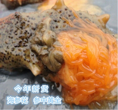 长岛野生卵籽包邮营养成分海参花