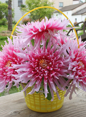 清明节花仿真菊花篮扫墓上坟祭祖