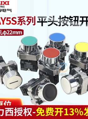 德力西平头按钮自复位启动开关绿色常开LAY5s-BA31一常开一常闭