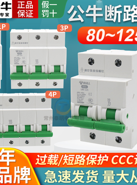 公牛小型大电流断路器LB5-125家用空气开关80A100A125A总开空开安