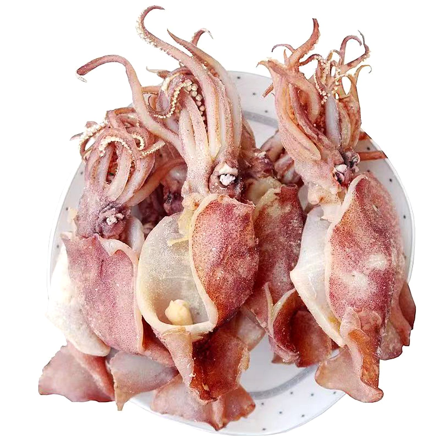 温州特产 去内脏海兔干 中号鱿鱼干 已洗净 鲜嫩可口有嚼劲 500g