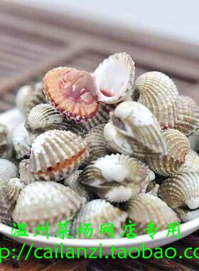 温州味道 本地花蛤 大颗粒血蛤 全程保鲜快递 500g 来自乐清湾