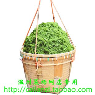 温州味道 咸绿苔 干苔藓 咸海苔 土话苔 怀旧农产品 100g