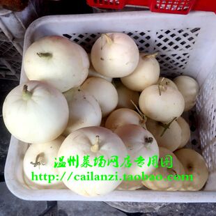 温州特产 灵昆甜瓜 白啄瓜 灵昆岛香瓜 应季水果 500g