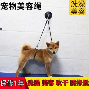宠物美容台吊绳狗狗美容固定架剪毛洗猫洗狗清洁强力吸盘猫咪洗澡