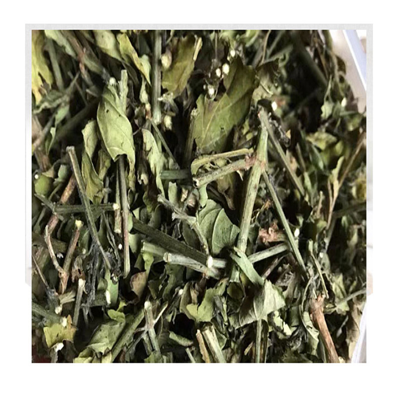 野生中草药白鹤灵芝 癣草 仙草 白鹤灵芝草 干品货 500克包邮