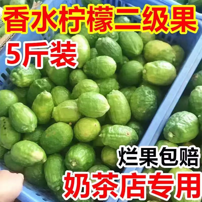 广东香水柠檬二级果新鲜现摘咖啡冷饮奶茶店手打柠檬茶专用青柠檬