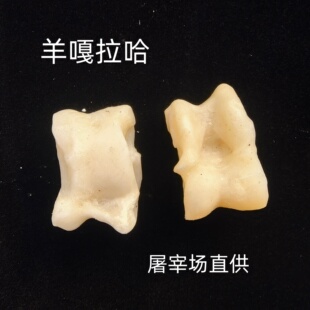 羊拐骨嘎拉哈真羊骨头阿斯克怀旧玩具饰品gachuha普通品质不精挑