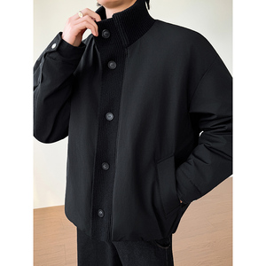 模特图~新标90白鸭绒冬季拼料立领美式羽绒服外套 E125/P278图片