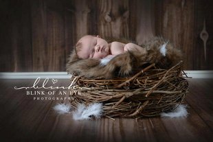 相馆摄影棚影楼背景布写真布无缝帆布主题室内木板儿童百日照4795