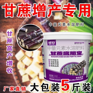 甘蔗底肥宝甘蔗种植专业补充营养改善众土壤茎秆粗壮生中量元素