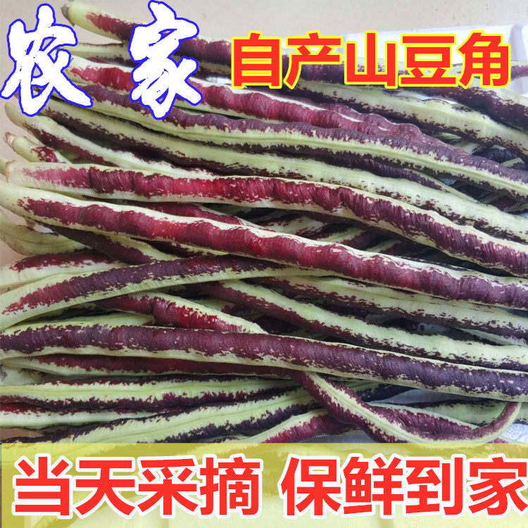 山豆角新鲜现摘现发山东农家当季时令蔬菜花豆角花豇豆2斤包邮