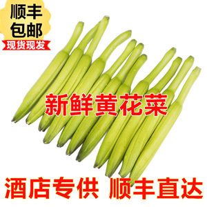 新鲜黄花菜现摘农家特产应季