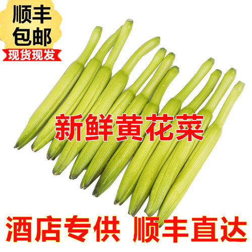 新鲜黄花菜现摘农家特产应季