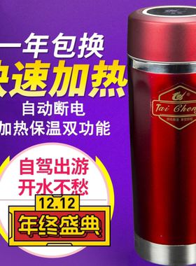泰澄车载烧水壶12V24V不锈钢防烫