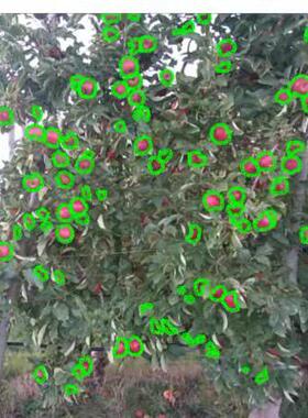 深度学习labelme数据标注语义分割物体识别数据集分类labelimg