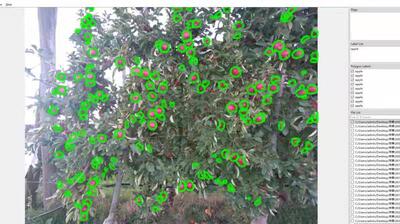 深度学习labelme数据标注语义分割物体识别数据集分类labelimg