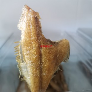 香酥偏口鱼片口鱼酥比目鱼不油腻200克