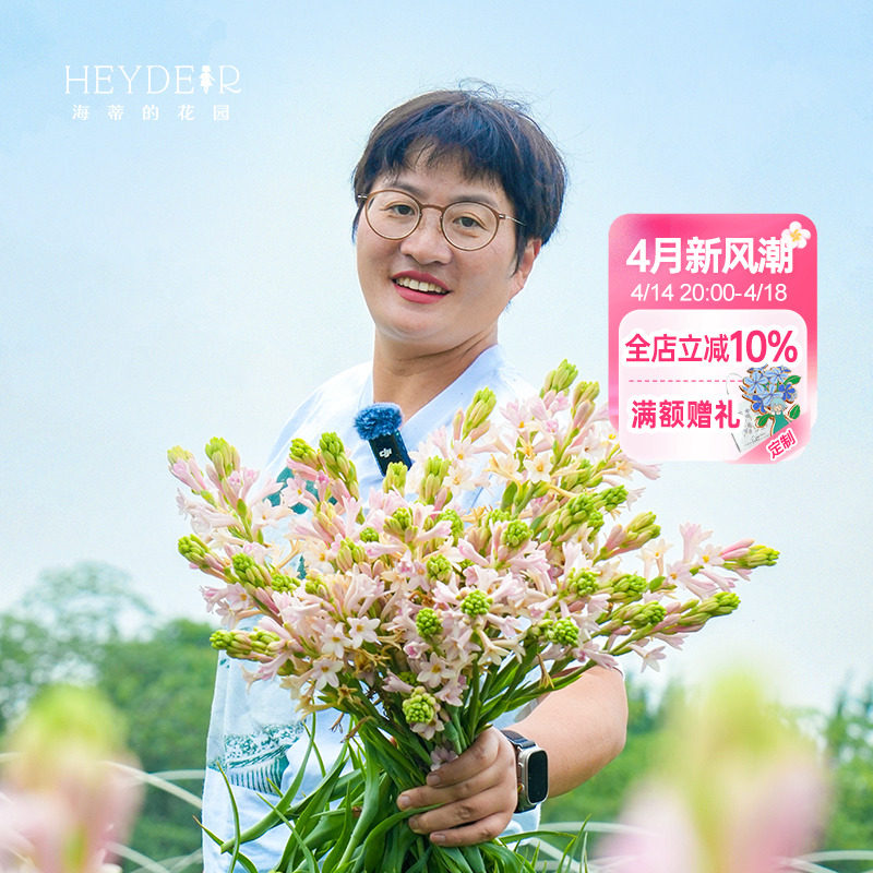 海蒂的花园晚香玉种球月下香夜来香庭院露台室外阳台盆栽花卉植物
