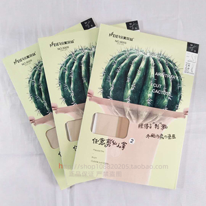 3双美尔丝丝袜连裤袜正品加大码夏季超薄任意剪仙人掌袜防勾丝女