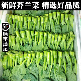 顺丰包邮新鲜芥兰菜农产当季脆嫩绿叶甘蓝广东小芥蓝现摘农家蔬菜