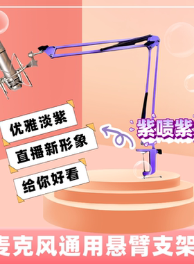 温柔紫色悬臂支架V2V3电竞话筒外设支架dm30桌面麦克架电容话筒架