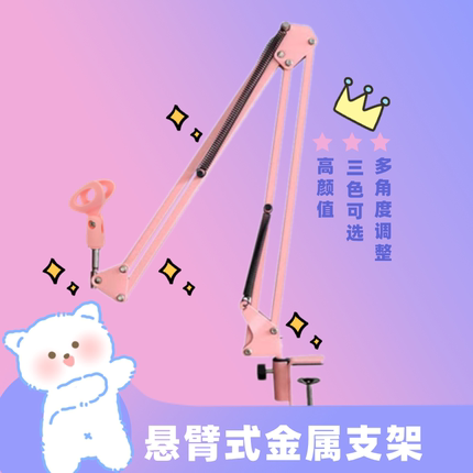 麦克风桌面悬臂通用支架e300手持话筒电容麦架直播录制金属防震架