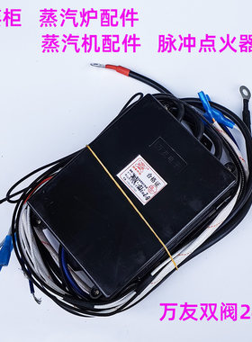 燃气蒸柜蒸汽炉脉冲点火器配件
