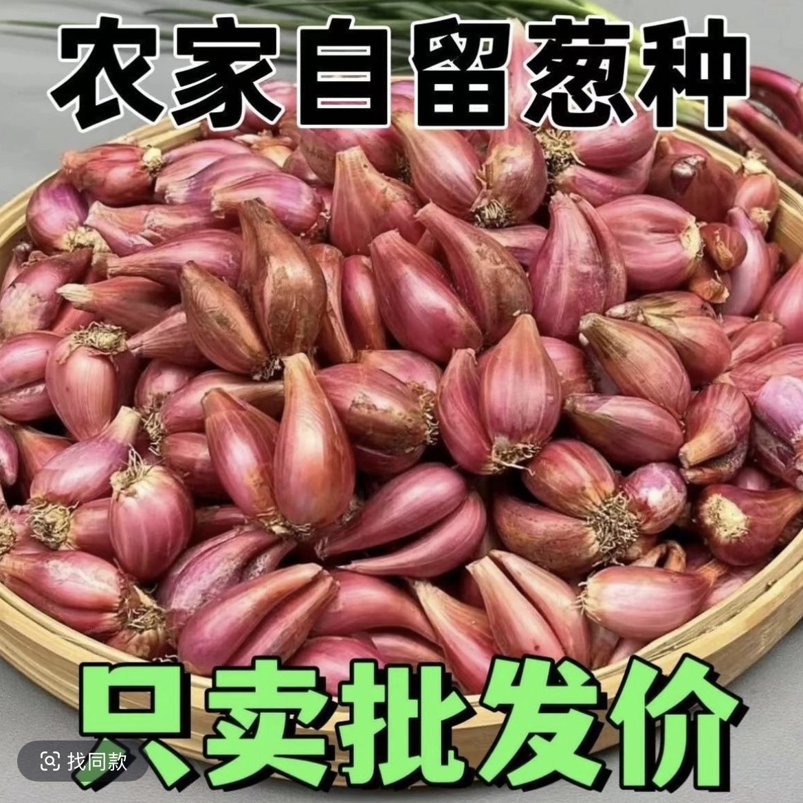 云南正宗红葱头老品种火葱头种植盆栽新鲜干葱头四季小香葱熬油,水产肉类/新鲜蔬果/熟食,洋葱/红葱头,淘宝优惠券,粉丝福利购,淘宝优惠卷