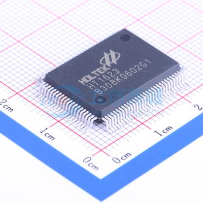 LCD驱动 HT1623 QFP-100(14x20) 原装正品 电子元器件配单