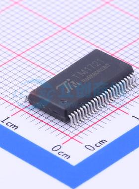 LCD驱动 TM1721 SSOP-48-300mil 原装正品 电子元器件配单