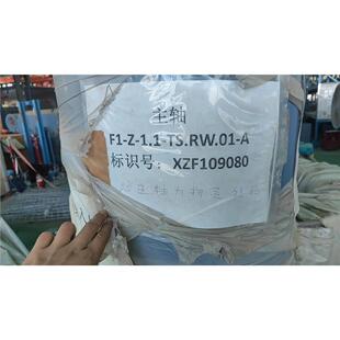 主轴F1 1.1 TS.RW.01