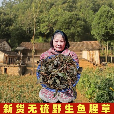 鱼腥草中药材500g干鱼腥草泡水喝2025年新货全草整棵野生鱼腥草茶