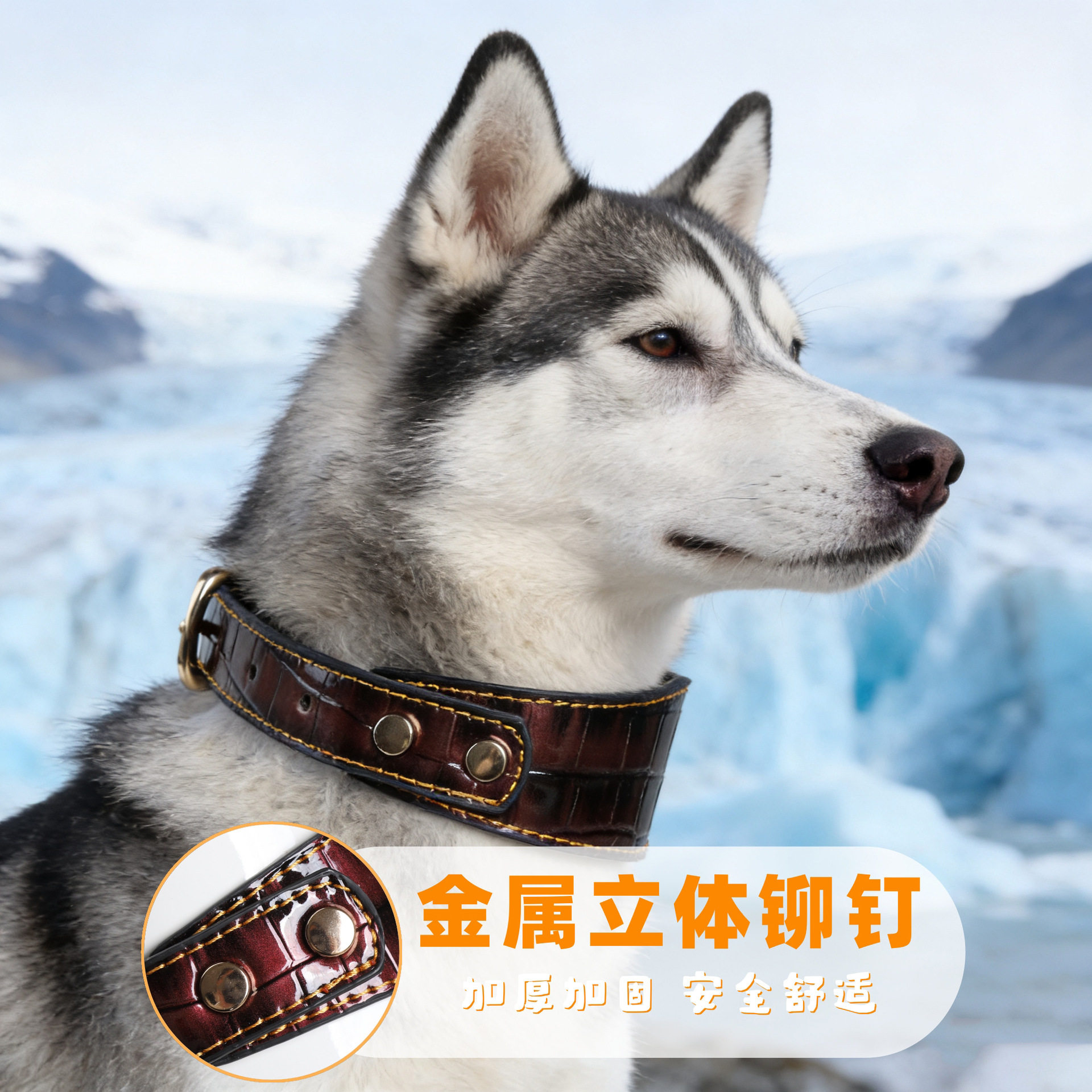 PU皮革宠物项圈铆钉工艺透气狗项圈复古皮革狗狗牵引绳项圈厂家,宠物/宠物食品及用品,猫牵引绳,淘宝优惠券,粉丝福利购,淘宝优惠卷