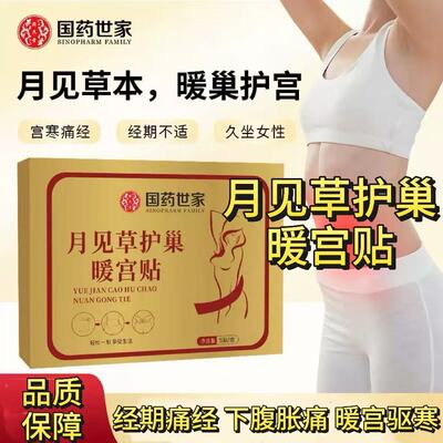 国药世家月见草艾灸暖贴调经