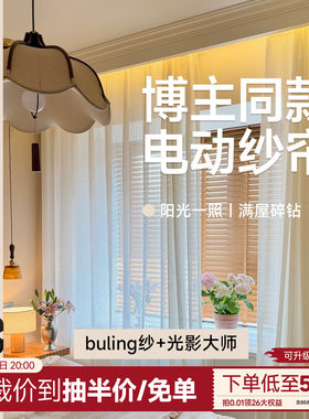 金蝉电动纱帘透光不透人buling纱