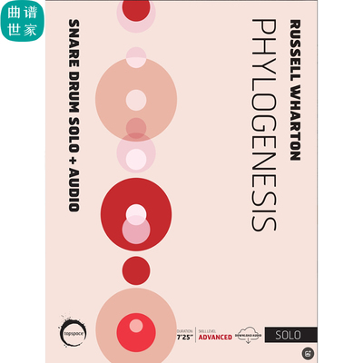 PHYLOGENESIS 高级小军鼓 独奏 音乐会比赛曲 MP3 高级音频伴奏