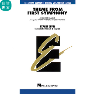 弦乐团 勃拉姆斯交响曲节选 Theme from First Symphony总分谱MP3