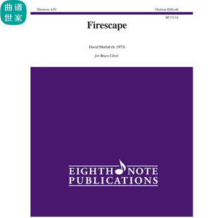 3級總譜 管樂團總譜 mp3 比賽推薦 分譜 Firescape火境