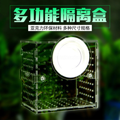 透明亚克力隔离孵化繁殖盒